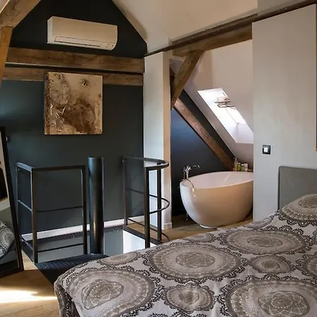 La Pepite De La Neustadt Apartment